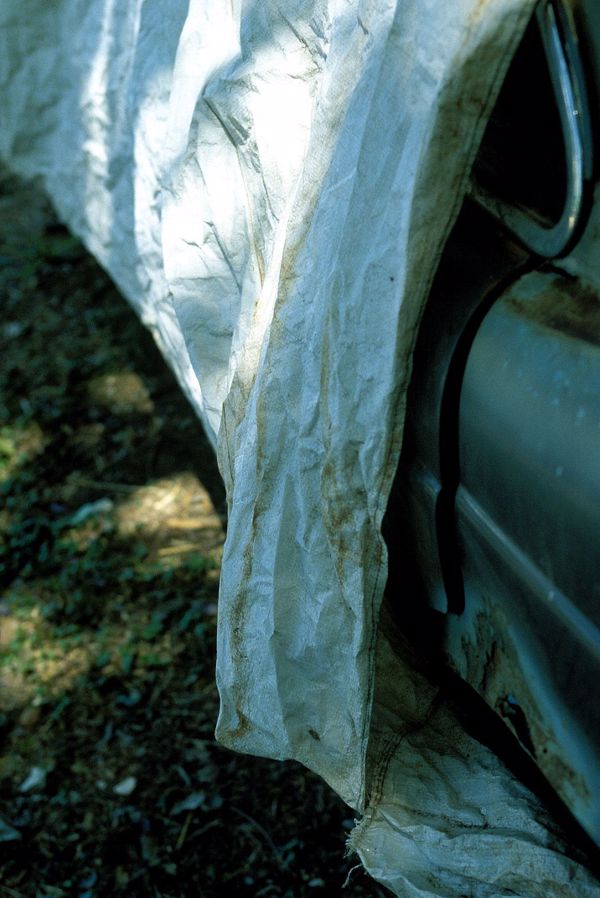 [NS Eyes] SF-№ 219 Масако Умемия