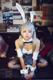 [Cosplay Photo] Moe Ono Girl w - Fate of the Sky (Haruhi Ye Dome) 3