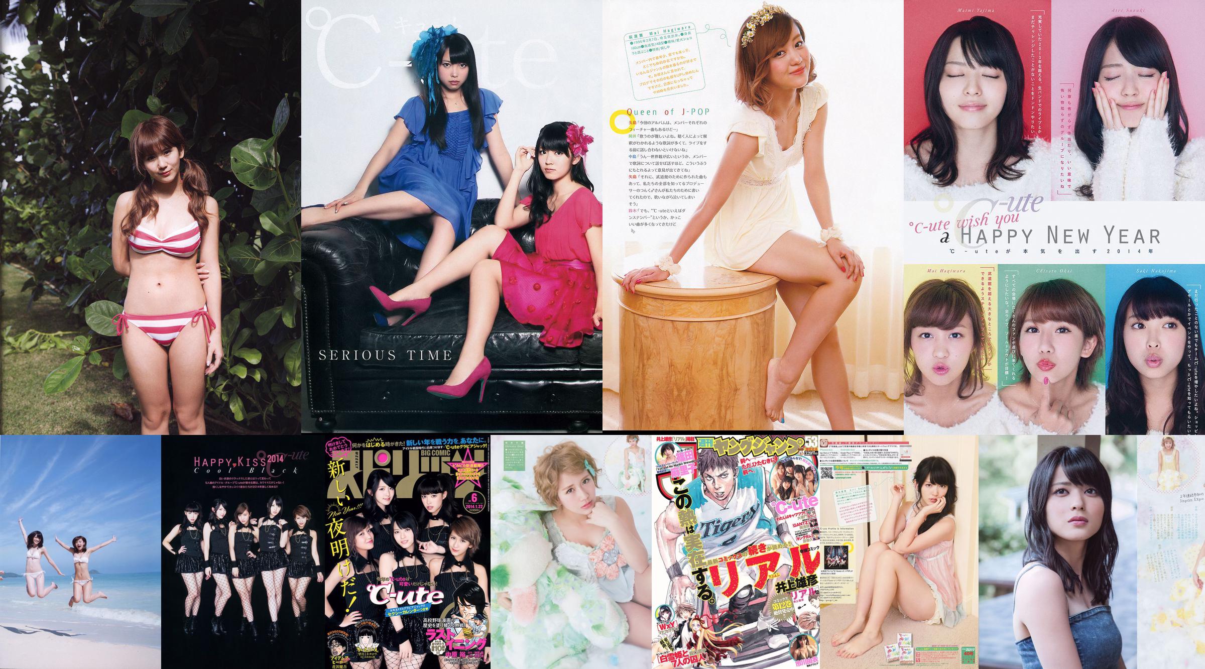 Miyazawa Sae Kobayashi Coriander [Young Animal] 2013 No.16 Photo Magazine No.fbba3d Page 1