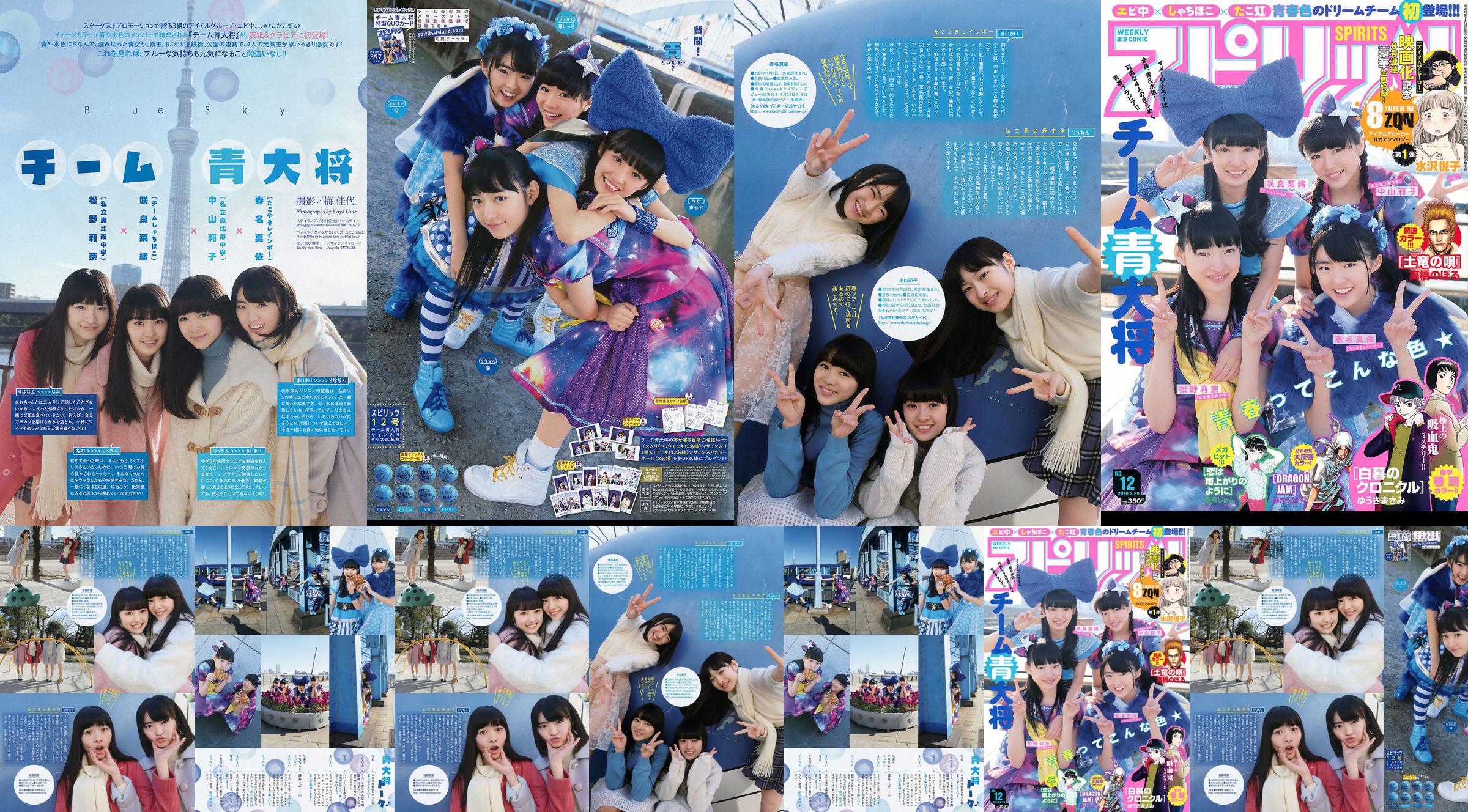 [Weekly Big Comic Spirits] チーム青大将 2016年No.12 写真杂志 No.707461 第1页