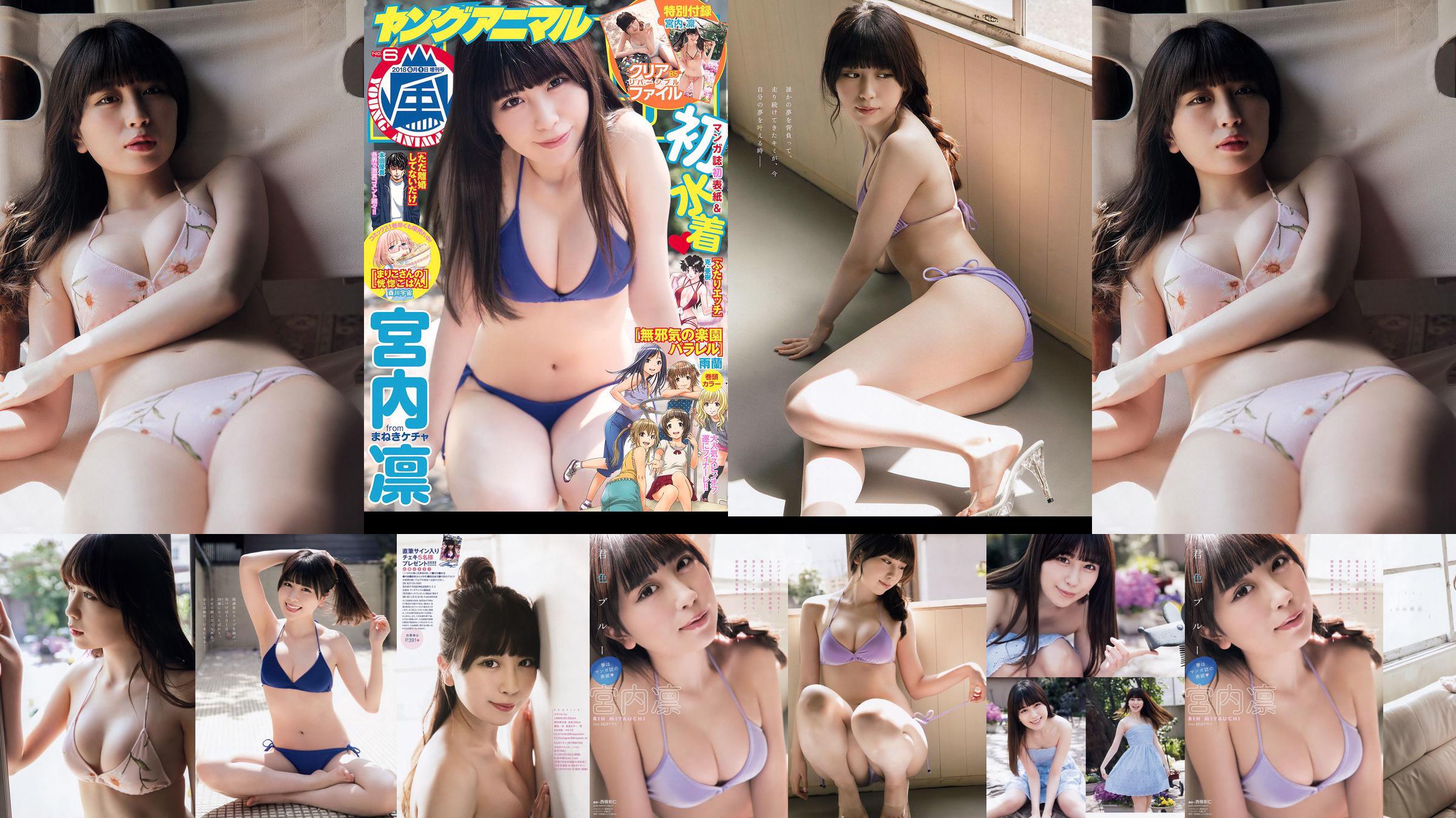 宮内凛 Rin Miyauchi [Young Animal Arashi] 岚特刊2018年No.06 写真杂志 No.3950ca 第1页