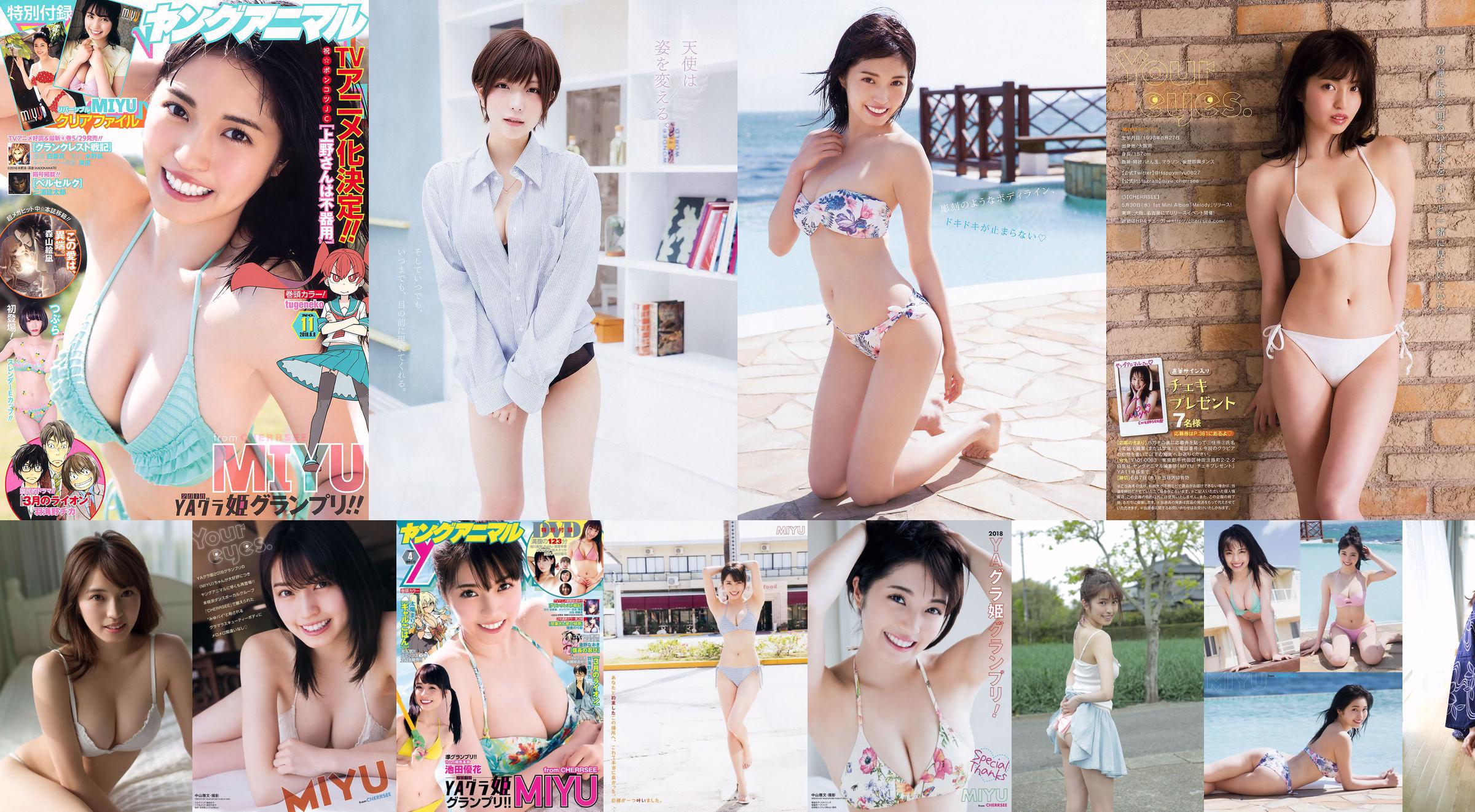 MIYU "Miyu Pie" [WPB-Netz] EX529 No.98bb51 Seite 18