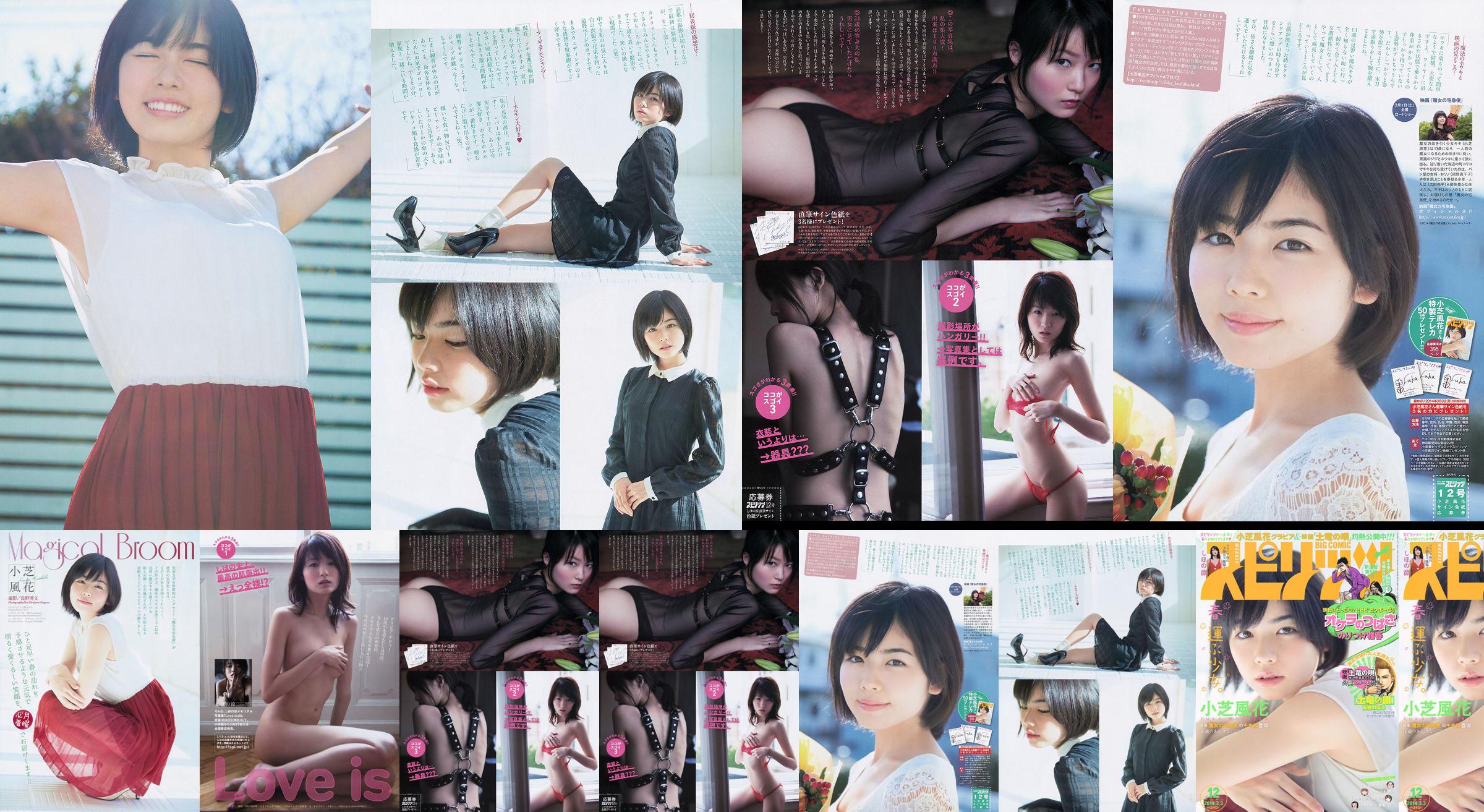 [Weekly Big Comic Spirits] Xiaoshiba Fuhua Ryo Shihono 2014 No.12 Photo Magazine No.68cc28 Página 3