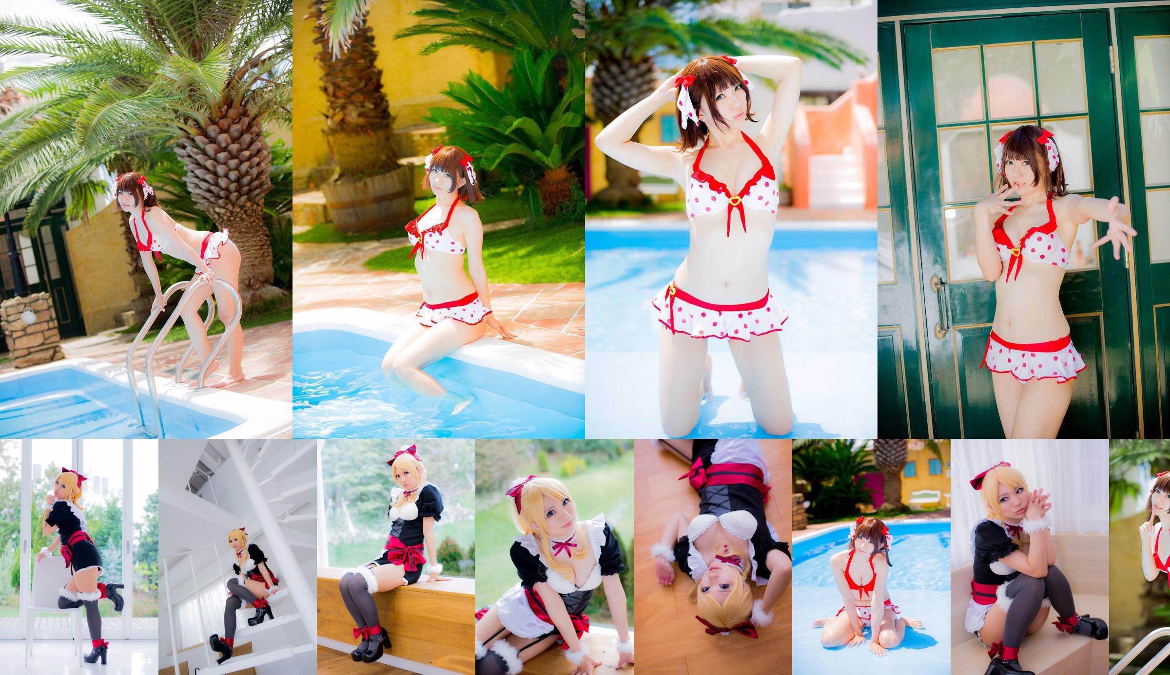 Michiko Satsuki "Love Live!" Eri Ayase No.e59297 Trang 13